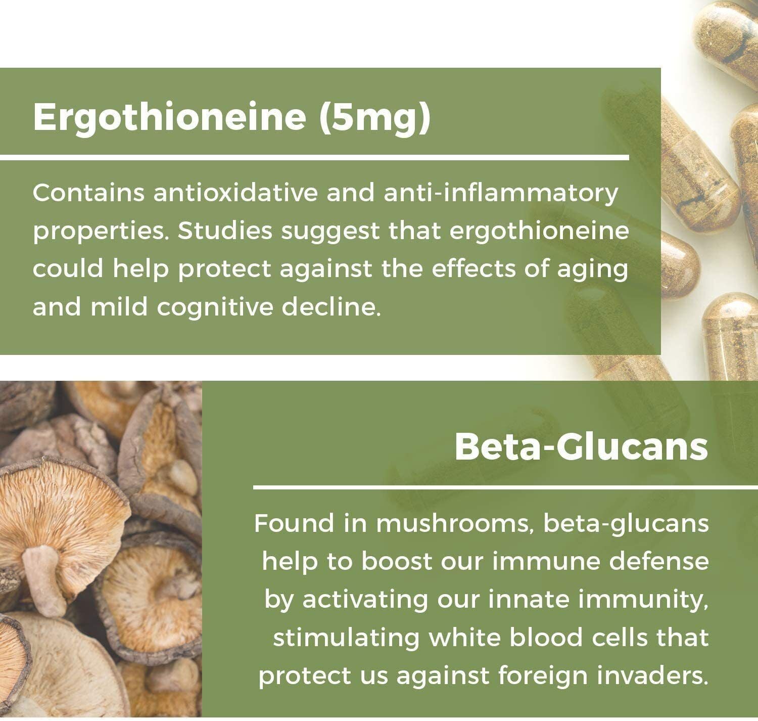 ERGO+ L-Ergothioneine Oyster Mushroom Capsule Supplement 60 Capsules