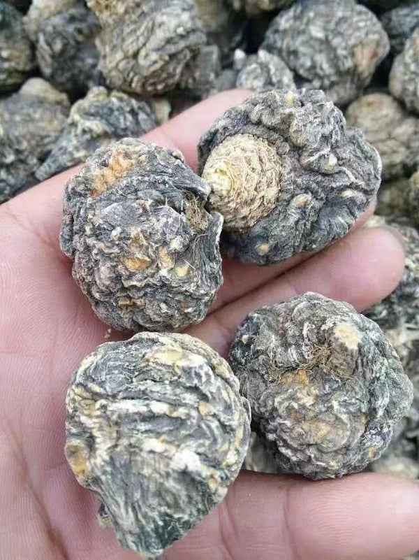 Extra Large Black Maca Kali River Maca Yunnan Maca Raw Materials Dried Fruit