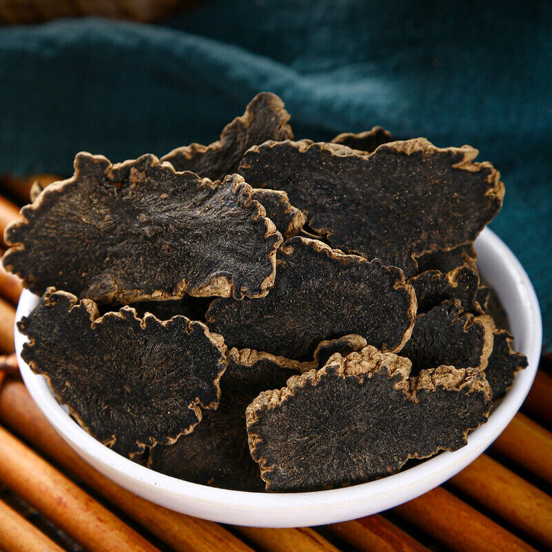 Premium Scrophularia Root Direct Source Bulk Supply High Quality Affordable