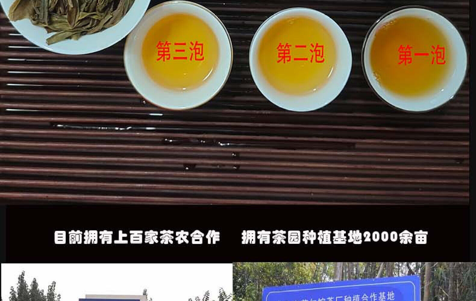 Yunnan Lincang Mengku Iceland Green Seal Puerh Raw Cake Tea Ice Sugar Sweet 357g