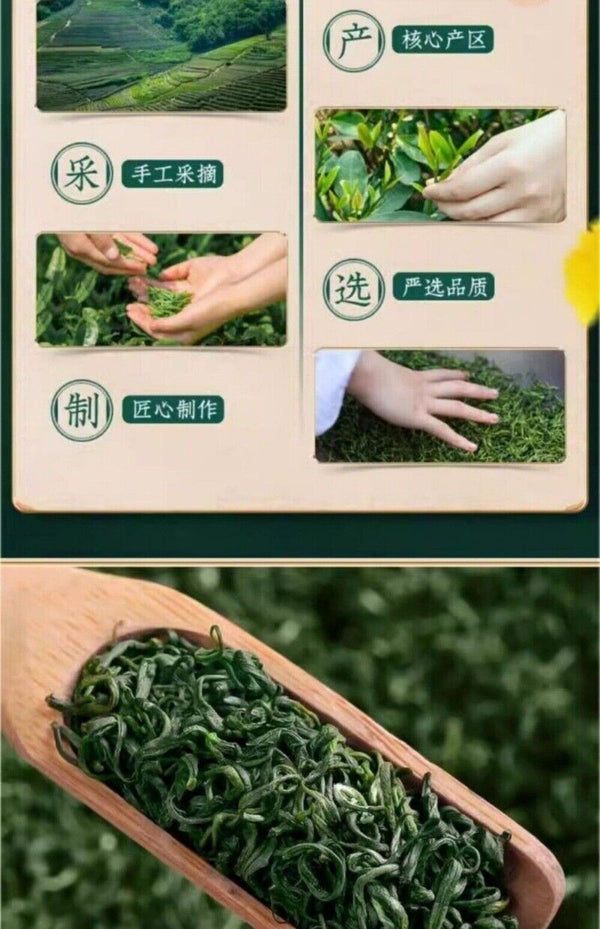 High Mountain Cloud Maojian Green Tea Loose Leaf 2025 Spring Harvest Fragrant