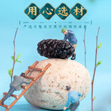 Selected Dried Mulberry Large Fruit Sand-free No-wash Mulberry Health Tea 500g