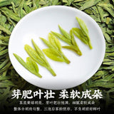 Top Grade Longjing Green Tea 2025 Fresh Rich Flavor Zhejiang Origin