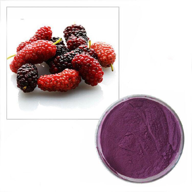 100g Natural Antioxidant Organic Mulberry Fruit Juice Extract Powder 10:1 Main image