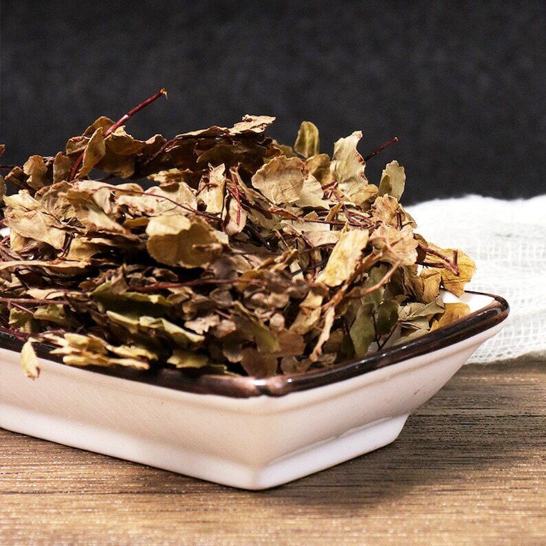 Dried Herbal Asplenii Yunnanensis Yunnan Spleenwort Herb Makes A Healthy Tea Secondary image