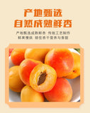 Healthy Snack for All Ages,Pitted Apricot Dried Fruit Sweet and Sour Flavor