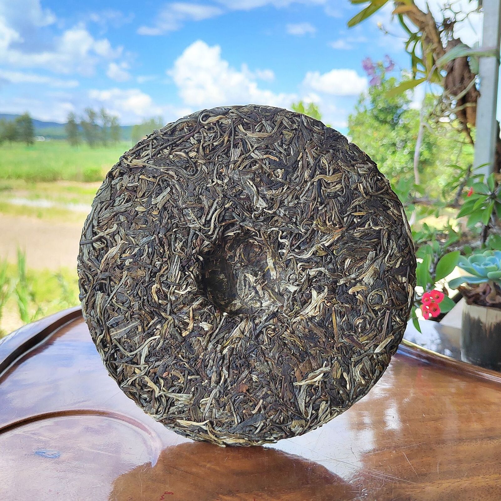 357g Icelandic Pu'er Tea Raw Tea Yunnan Pu'er Tea Cake Yunnan Qi Zi Cakes