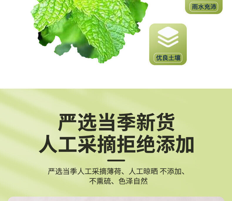 50g Mint Tea Herbal Tea Fruit Tea Mint Leaf Cool Tea Peppermint Loose Leaf Tea