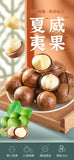 New Macadamia Nuts | Milk Flavor, Large Size, With Shell Opener, Snack