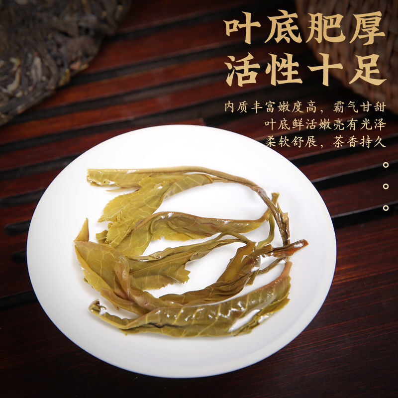 Yunnan Puerh Tea Raw Tea Old Banzhang Ancient Tree Puerh Raw Tea 357g