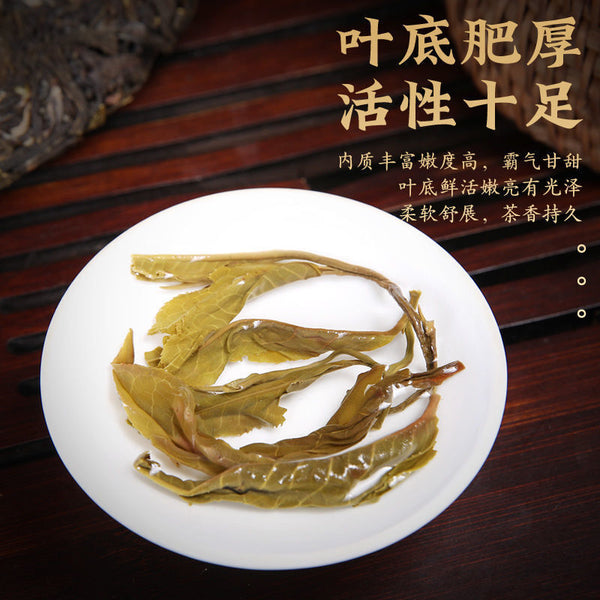Yunnan Puerh Tea Raw Tea Old Banzhang Ancient Tree Puerh Raw Tea 357g