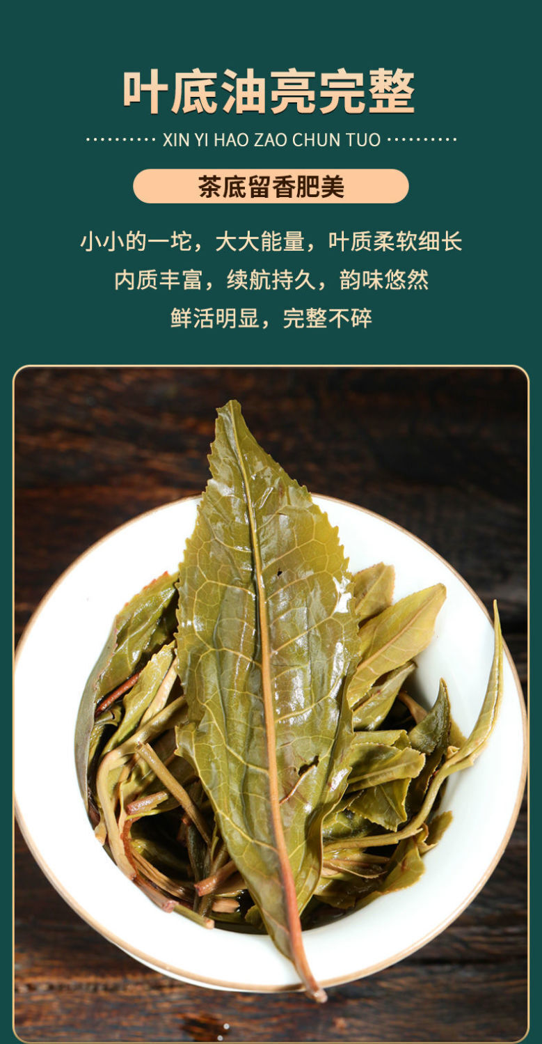 Pu'er Tea Raw Tea Early Spring Tea Big Tree Small Tuo Tea Yunnan Raw Pu'er 500g