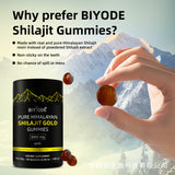 Reine Himalaya-Shilajit-Fruchtgummis zur Immununterstützung mit Ashwagandha
