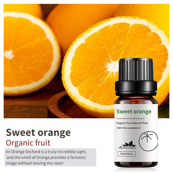 Essential Oils 100% Pure Therapeutic Oil - 20+ Options! Aromatherapy Oil 10 mL