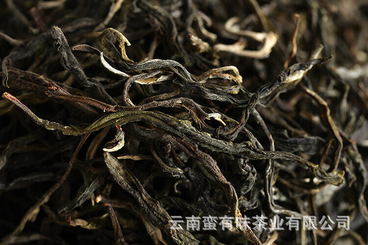 Yunnan Puerh Tea Ancient Tree Tea Old Tree Tea Spring Tea 500g Loose Tea