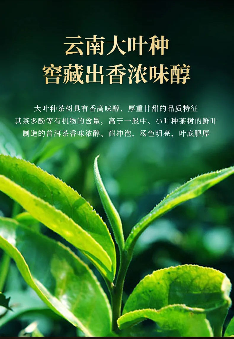 Yunnan Laobanzhang Pu'er Tea Ripe Tea Aged Spring Tea Seven Seeds Cake Tea 357g