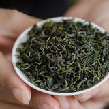 125g Top-Grade High Mountain Green Tea China Yunwu Maojian Loose Leaf Green Tea