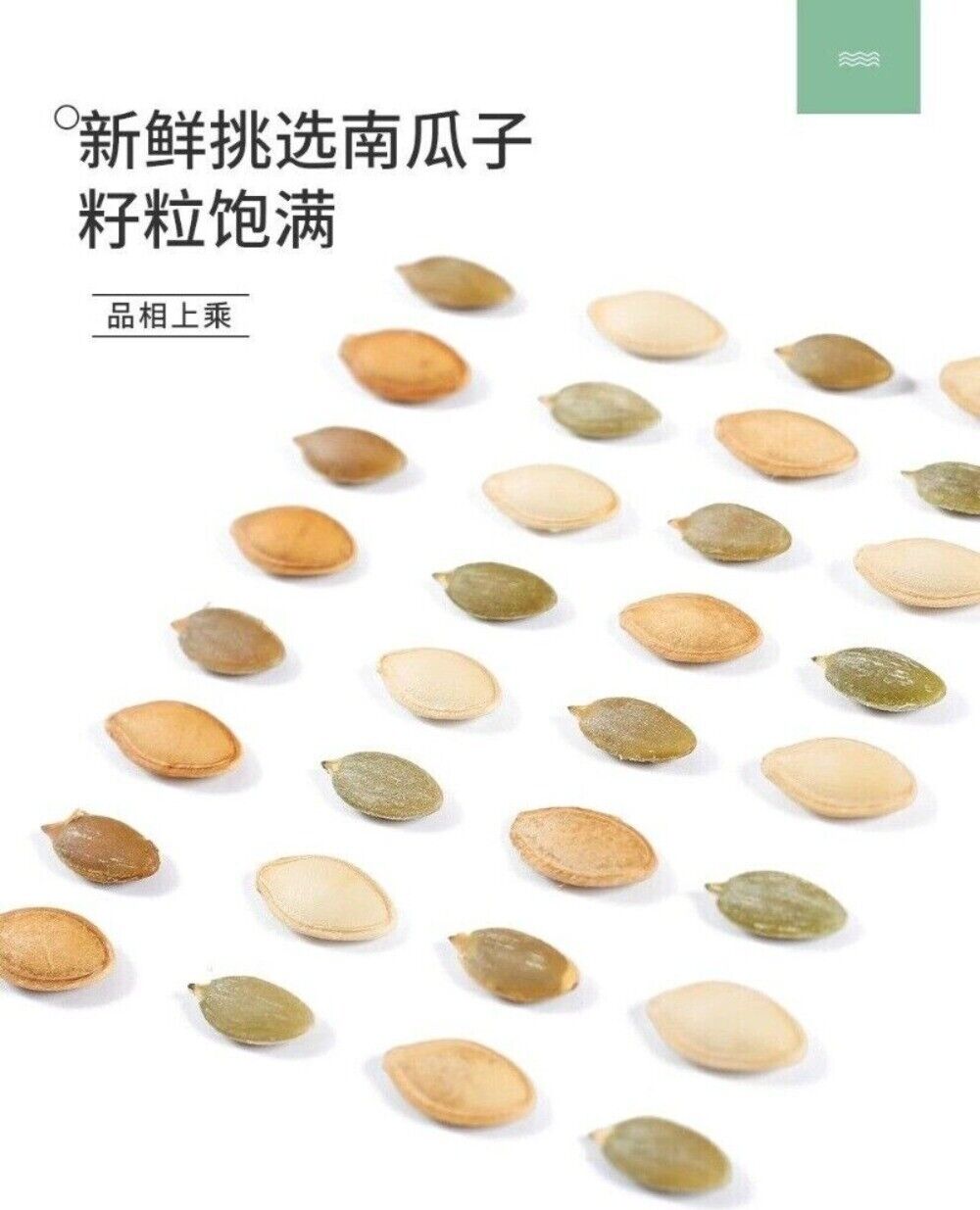 Roasted Pumpkin Seeds 500g Salted Spiced Healthy Fresh Snack