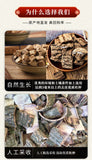 Eucommia Bark Powder Du Zhong Chinese Herbal Tea 200g 100% Pure Powder