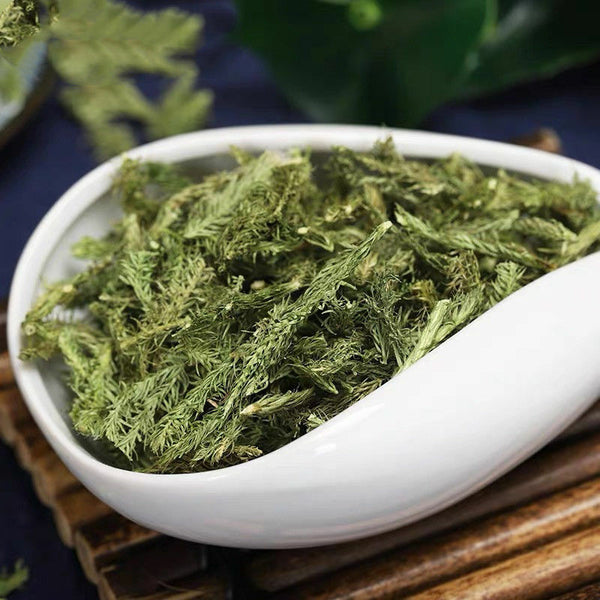 New Organic Shenjincao Organic Herbal Tendongrass Natural Herbal Tea 500g/1.1LB
