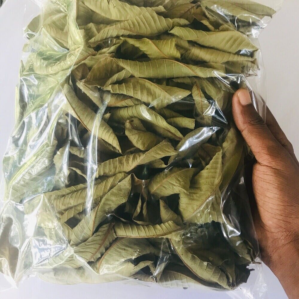Premium Dried Guava Leaves 50g 500g Natural Herbal Tea Hojas De Guayaba