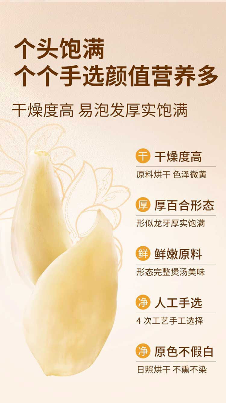 Dried Lily Bulbs 120g Premium Quality Fresh New Harvest in Jar Packaging