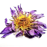 Natural Base Planting Pesticide Free Chinese Herb Dried Blue Lotus Flower