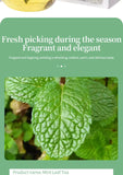 Mint Leaf Tea Herbal Tea 125g