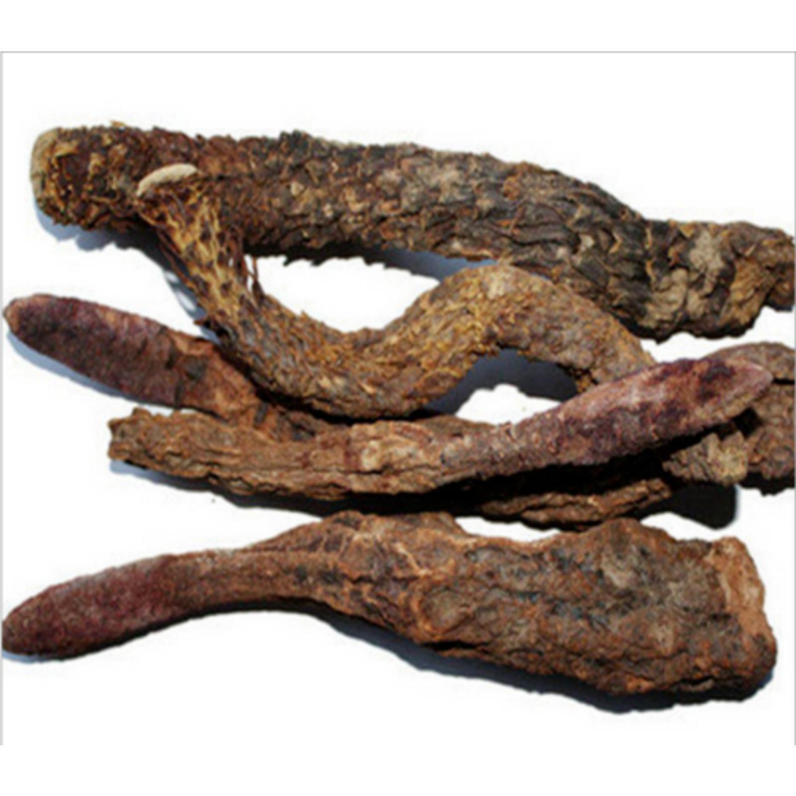 200g Cistanche Tubulosa 30:1 Extract Powder | Wild Harvested Herbal Supplement Main image