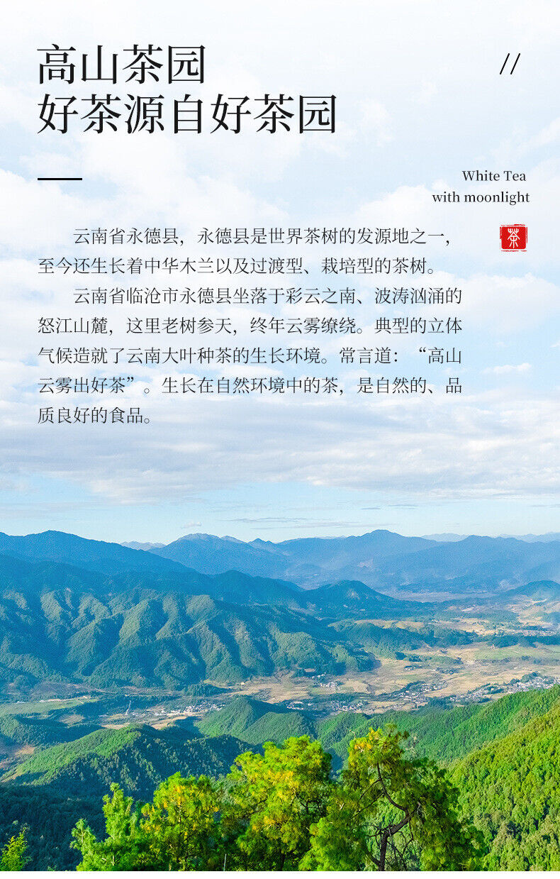 Linglong Cake Tea Pu'er Mature Tea Cake Head Spring Tea Aged Ripe Pu'er Tea 500g