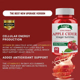 Apple Cider Vinegar Gummies Bear Shape APPLE CIEDR Gummies Health Care