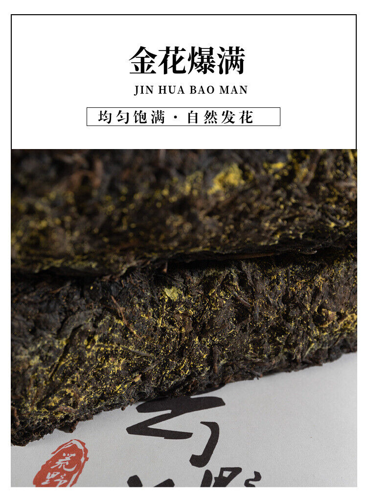 1kg Hunan Anhua Black Tea Aged Tea Hand-built Fu Brick Golden Flower Black Tea