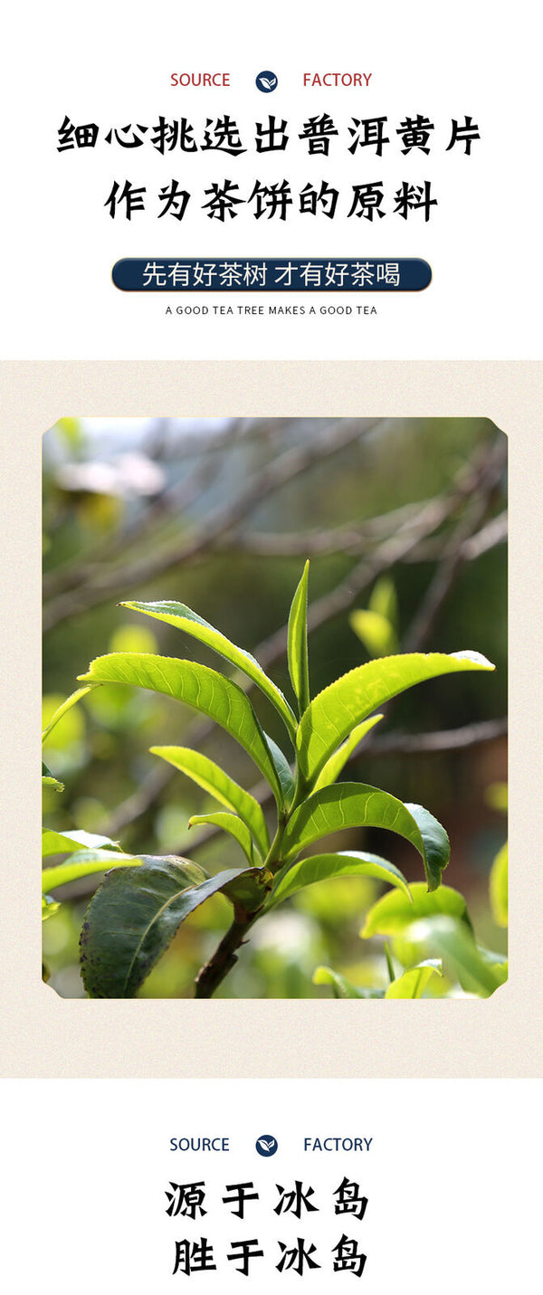 357g Yunnan Pu'er Raw Tea Cake Ancient Tree Tea Cake Healthy Drink