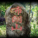 Xin Yi Hao Bulang Mountain 200 Years Old Tree Tuo Cha Ripe Pu-erh Tea 500g