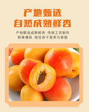 Pitted Apricot Dried Fruit Sweet and Sour Flavor Healthy Snack for All Ages