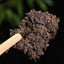 Handpicked Natural Yunnan Menghai Old Pu'er Tea Ancient Tree Mature Tea 357g