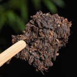 Handpicked Natural Yunnan Menghai Old Pu'er Tea Ancient Tree Mature Tea 357g