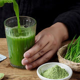 BARLEY GRASS POWDER 100% Certified Organic (Hordeum vulgare)