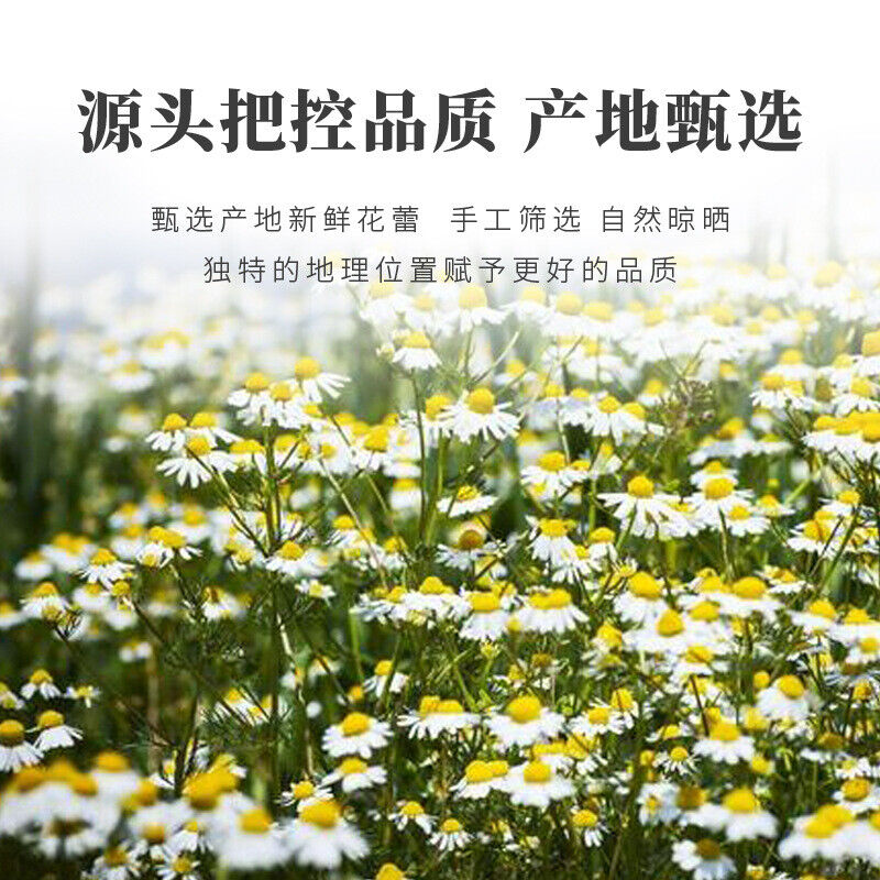 Chamomile Tea New Flower Herbal Chrysanthemum Cassia Seed Tea