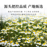 Chamomile Tea New Flower Herbal Chrysanthemum Cassia Seed Tea