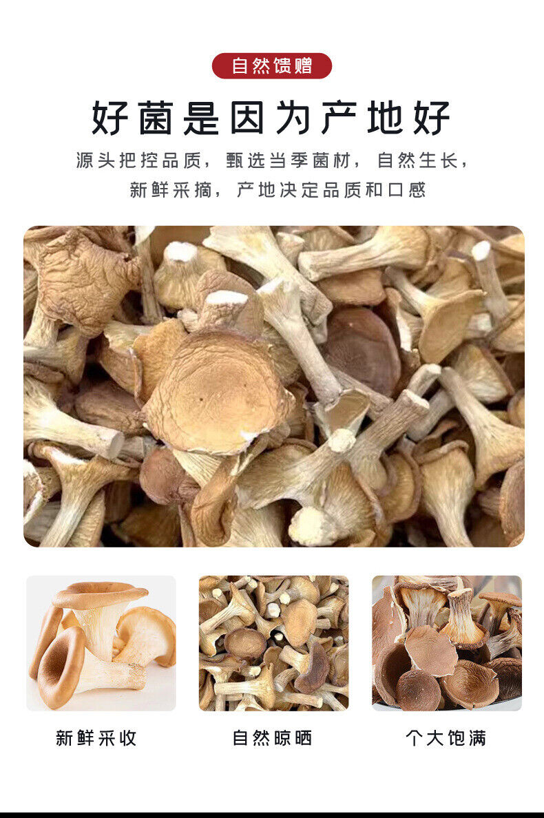 Wild Mountain Delicacy: Dried Pig Stomach Fungus & Shiitake for Soup