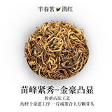 2025 Yunnan Ancient Tree Dianhong Black Tea Premium Authentic Gift Loose Leaf