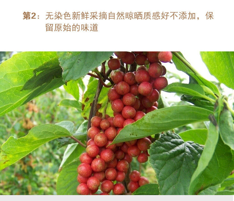 Schisandra Chinensis Chinesische Magnoliavin Fruchtspezialität aus Nordosten500g