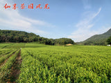 New Tea Longjing Crushed Tea Loose Tea Pieces Green Tea Crushed 500g/1.1lb