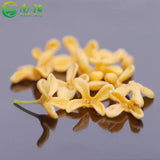 Organic Osmanthus Fragrans Flower Tea Chinese Herbs Tea Gui Hua Natural