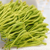 Honeysuckle Chrysanthemum Herbal Tea Natural Detox Wellness Blend