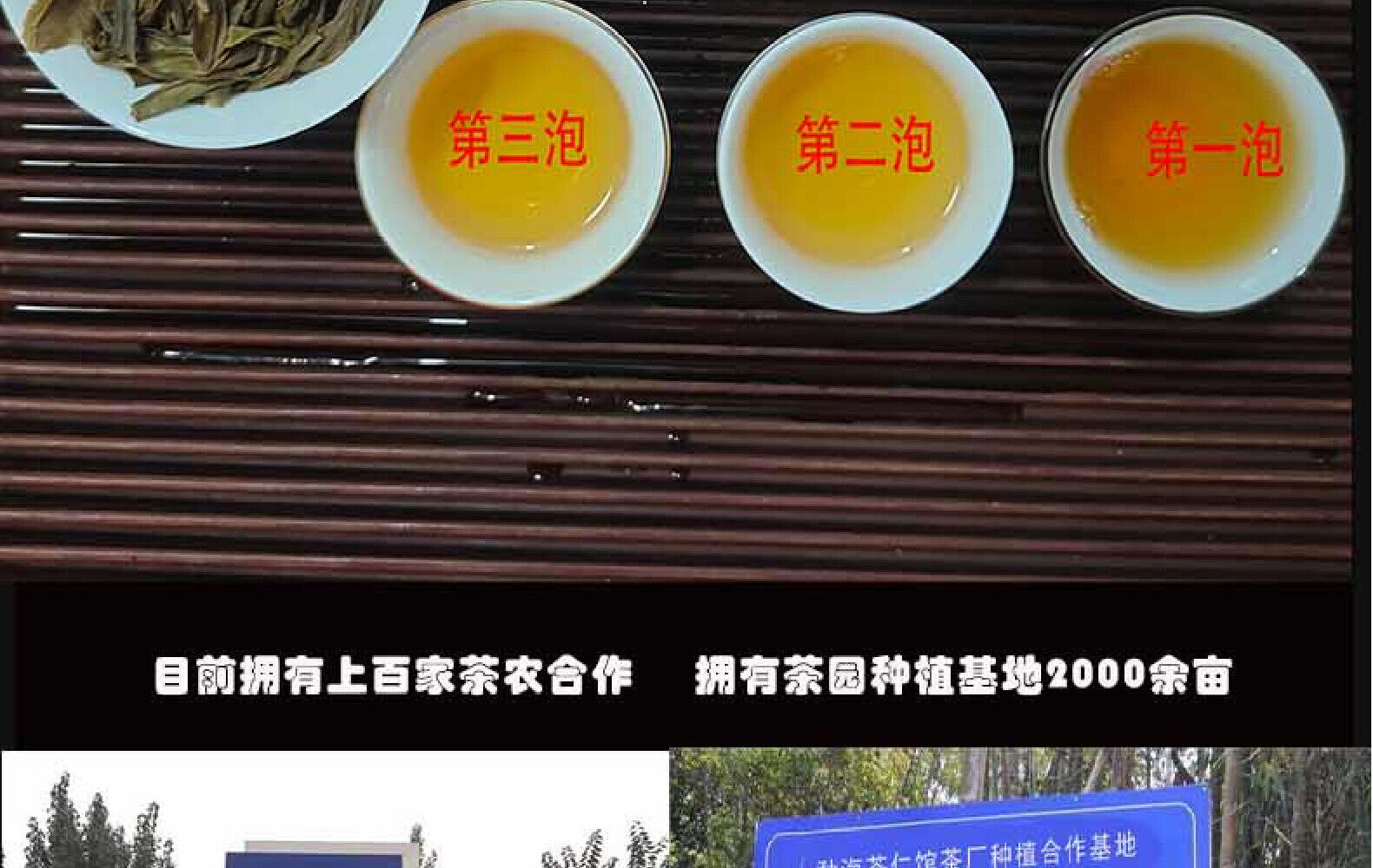 Yunnan Tea Nannoushan Head Spring Ancient Tree Pu'er Raw Tea 357g Cake Tea