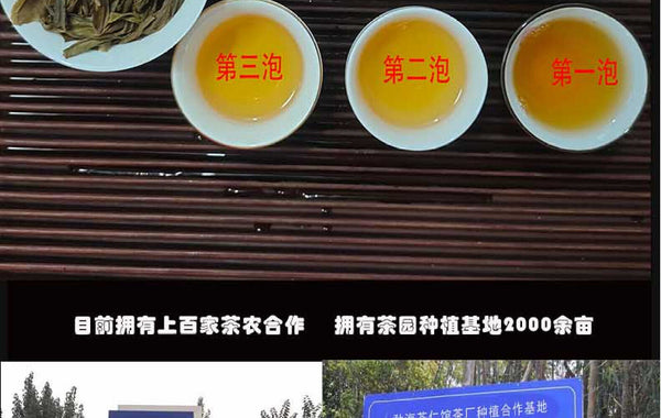 Yunnan Tea Nannoushan Head Spring Ancient Tree Pu'er Raw Tea 357g Cake Tea