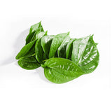 20pcs YOUNG BETEL NUTS ，LEAFS ，Powder 200g Areca Catechu nut PRIORITY SHIPPING
