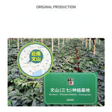 50g Xiuzheng Sanqi Powder China Notoginseng Herbal Tea Powder Canned Health Care